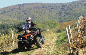 CFMOTO CFORCE 550 : le bon coup pour débuter